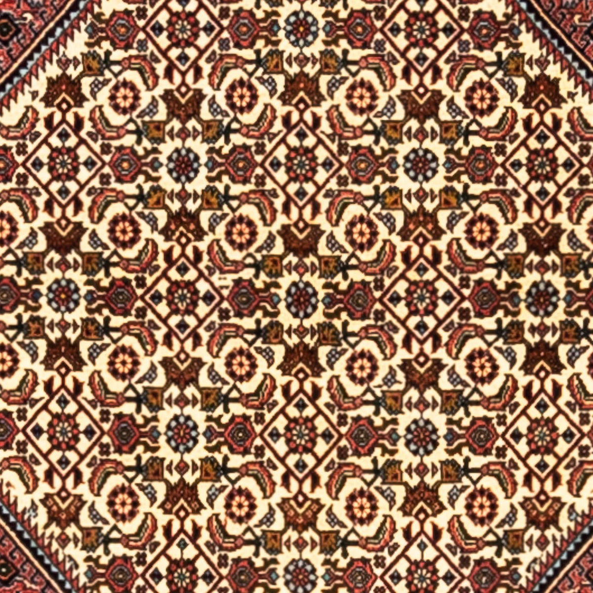 Perski dywan - Bijar - Royal - 291 x 200 cm - czerwony