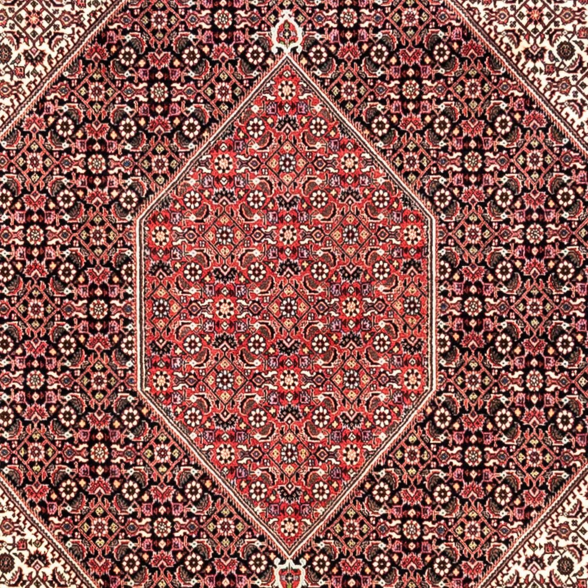Perski dywan - Bijar - Royal - 349 x 252 cm - czerwony
