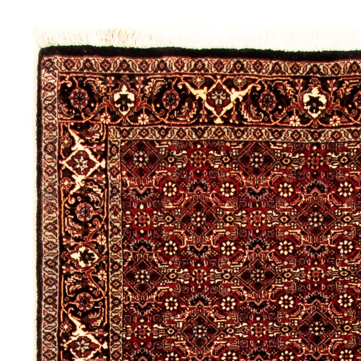 Biegacz Dywan perski - Bijar - 305 x 86 cm - wielokolorowy