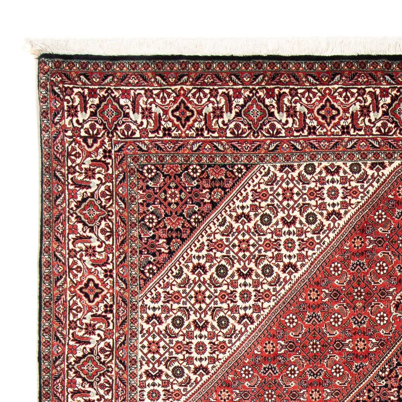 Bidjar Dywan 251x170cm - Dywan perski