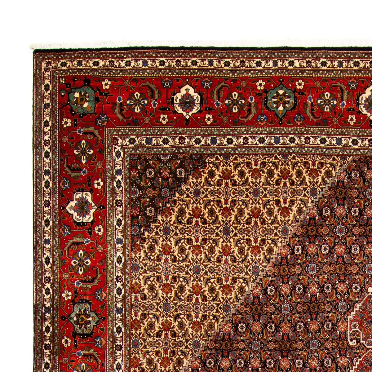 Dywan perski - Tabriz - 415 x 308 cm - wielokolorowy