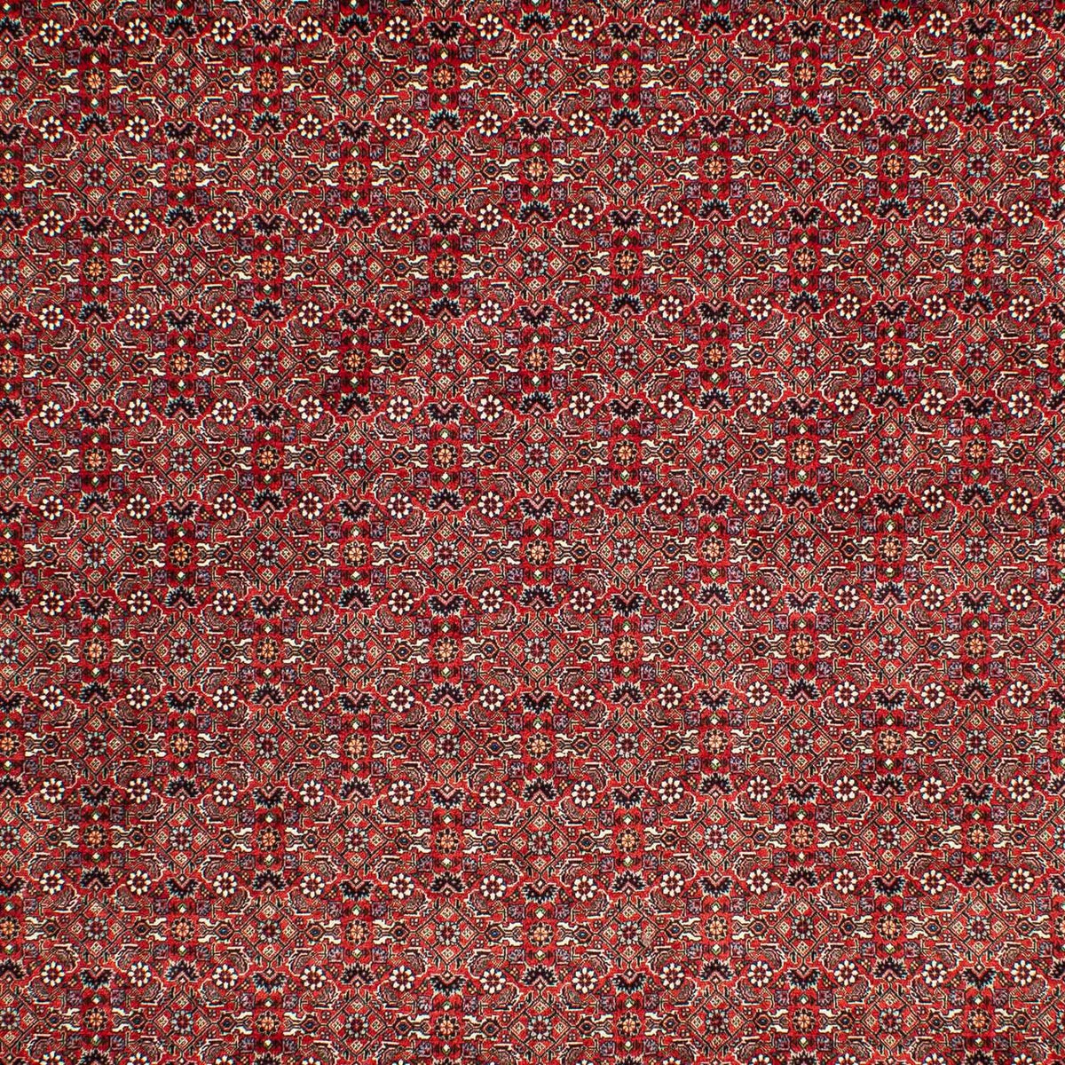 Dywan perski - Bijar - 302 x 210 cm - ciemna czerwień