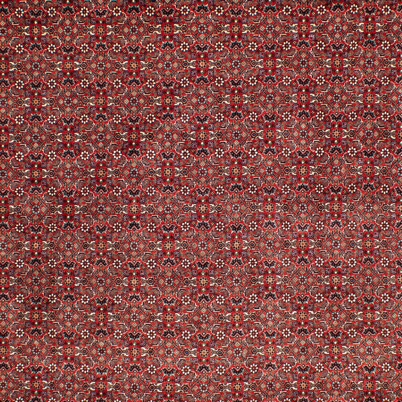Dywan perski - Bijar - 302 x 210 cm - ciemna czerwień