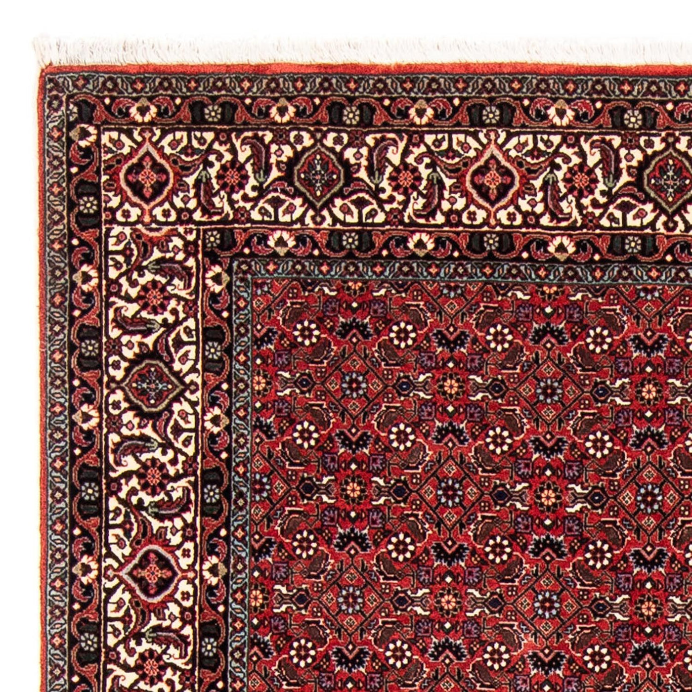 Bidjar Dywan 243x173cm - Dywan perski