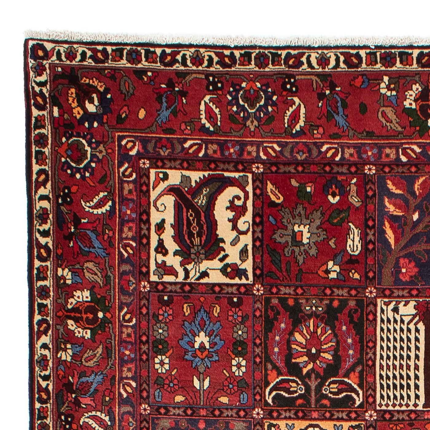 Bakhtiari Dywan 310x210cm - Dywan perski