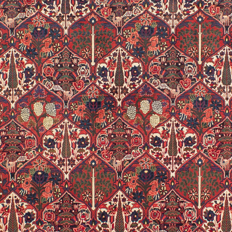 Perski dywan - Nomadyczny - 323 x 210 cm - ciemna czerwień