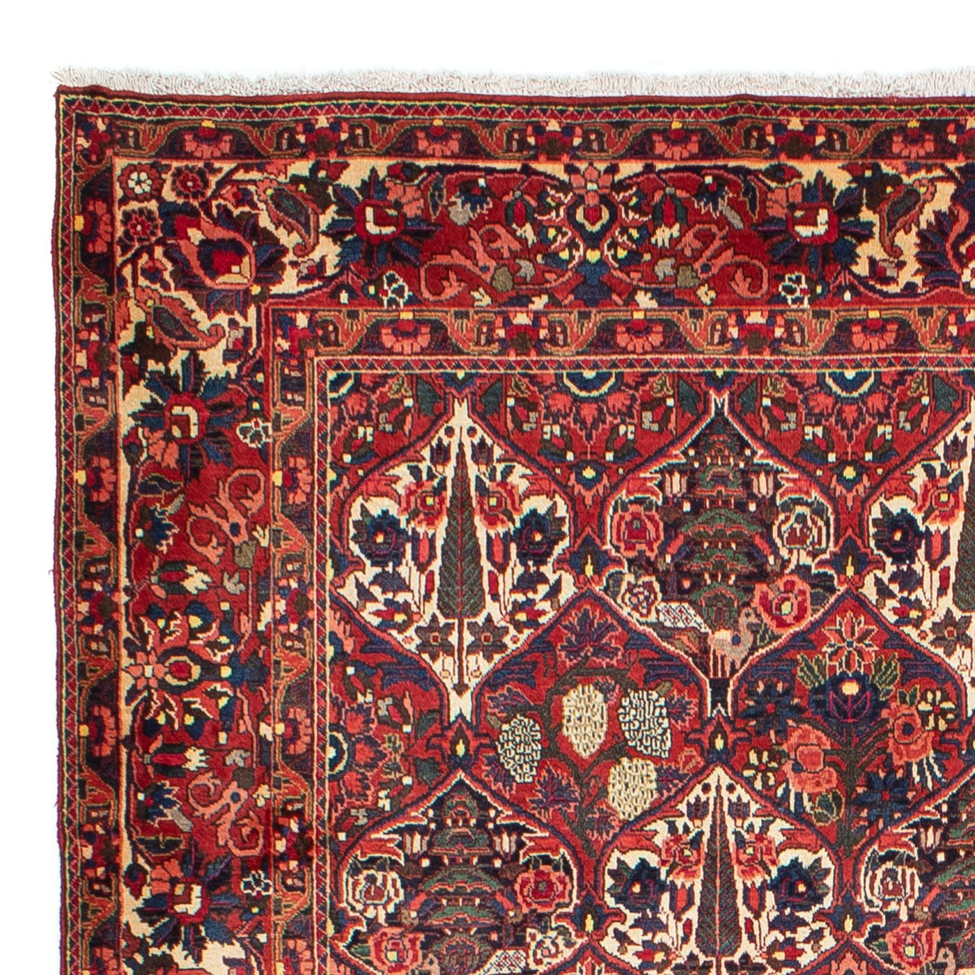 Bakhtiari Dywan 323x210cm - Dywan perski