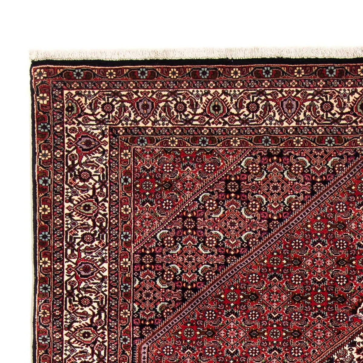 Bidjar Dywan 153x255cm - Dywan perski