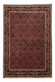 Bidjar Dywan 246x172cm - Dywan perski