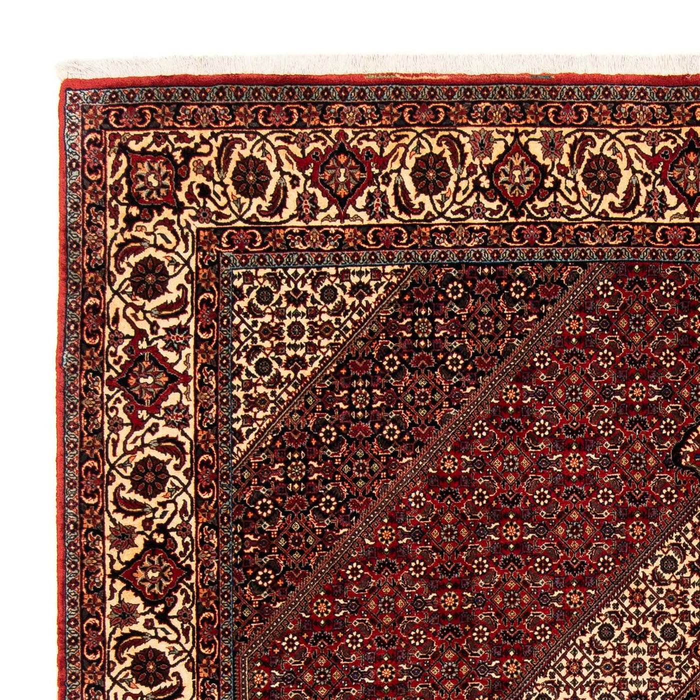 Bidjar Dywan 254x204cm - Dywan perski
