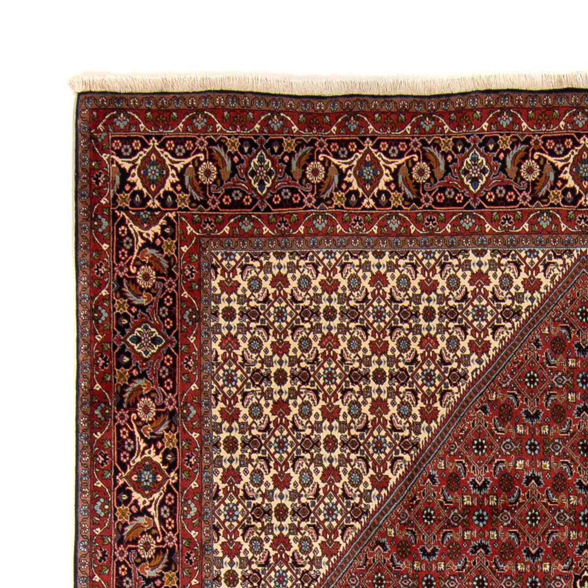 Bidjar Dywan 250x337cm - Dywan perski