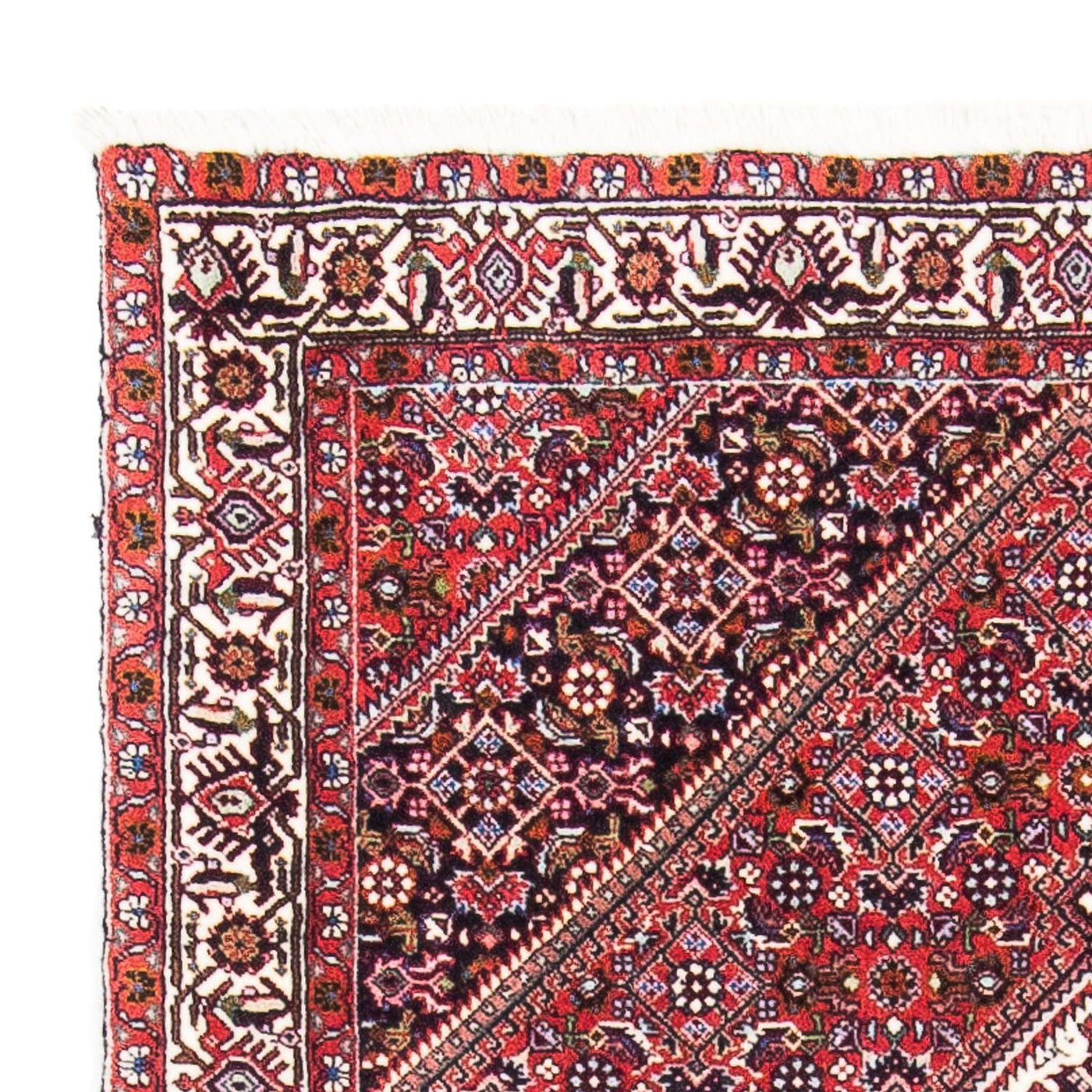Bidjar Dywan 154x90cm - Dywan perski