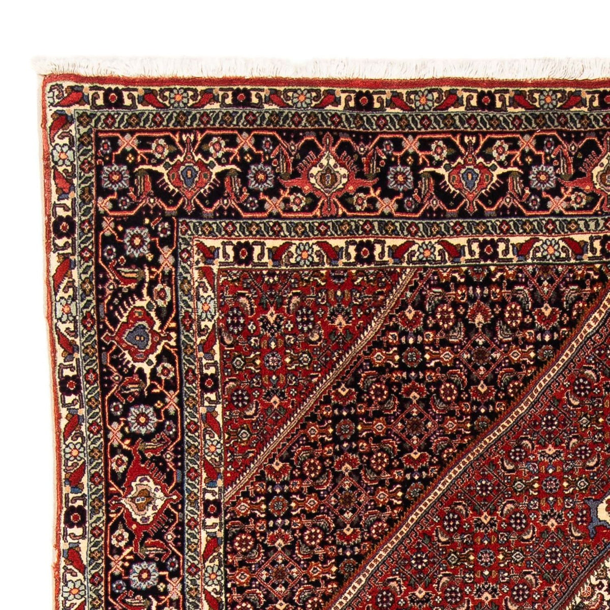 Bidjar Dywan 153x244cm - Dywan perski