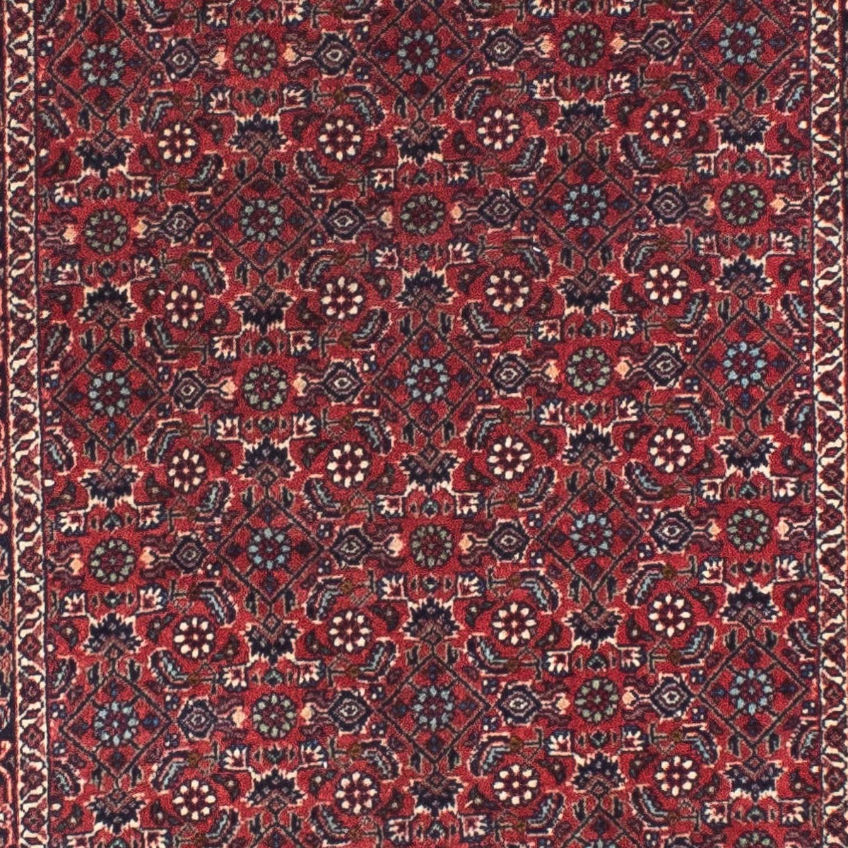 Biegacz Dywan perski - Bijar - 307 x 75 cm - czerwony