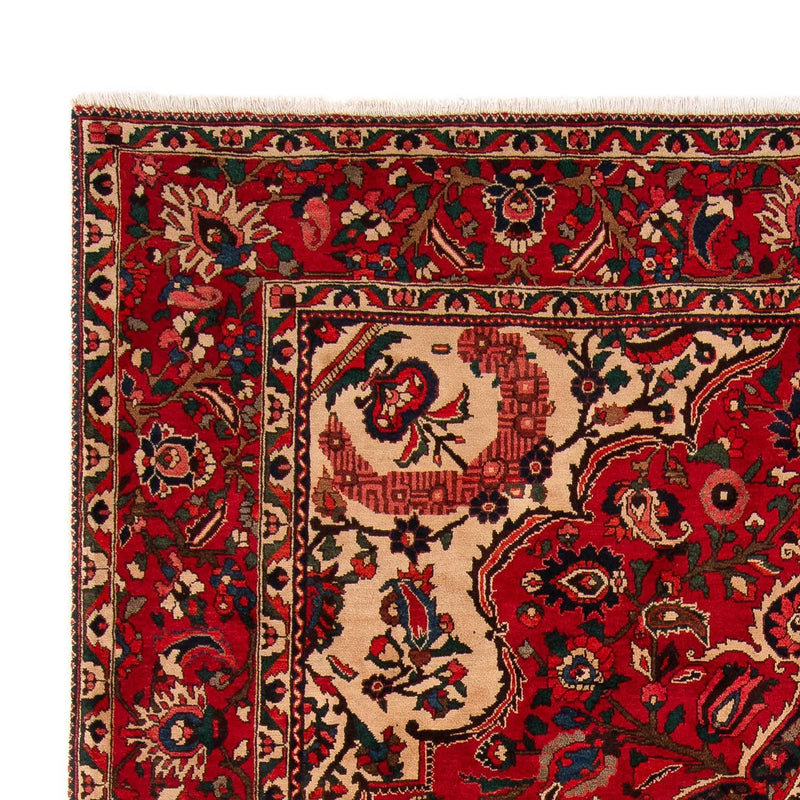 Perski dywan - Nomadyczny - 362 x 258 cm - ciemna czerwień