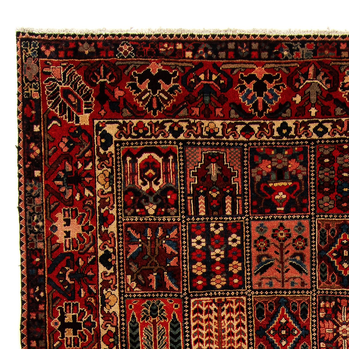 Bakhtiari Dywan 351x302cm - Dywan perski