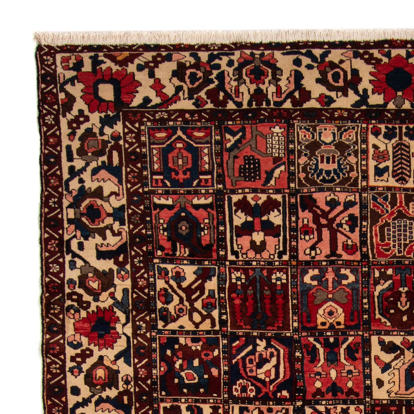 Bakhtiari Dywan 337x258cm - Dywan perski