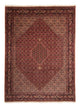 Bidjar Dywan 248x338cm - Dywan perski