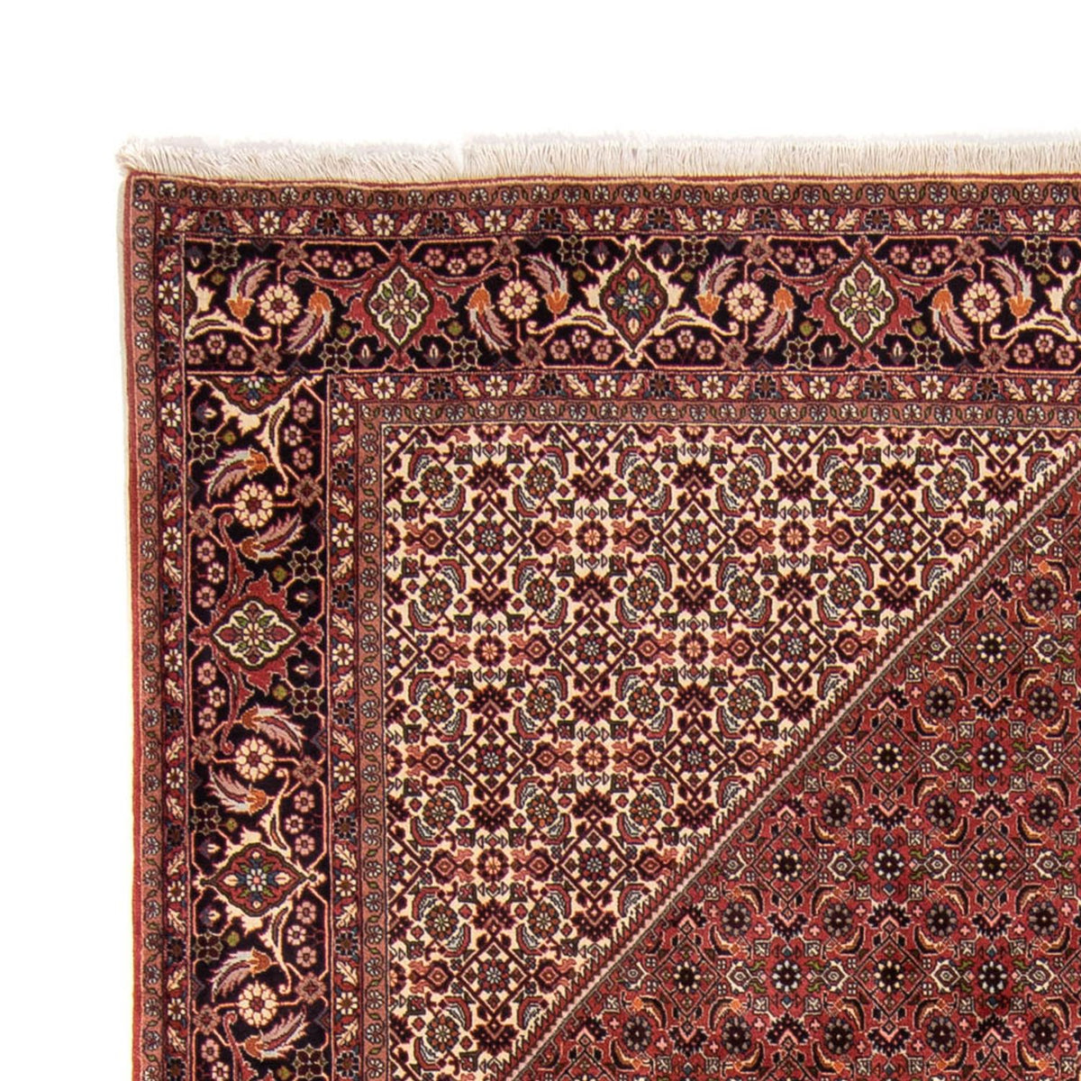 Bidjar Dywan 248x338cm - Dywan perski