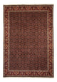 Bidjar Dywan 345x245cm - Dywan perski