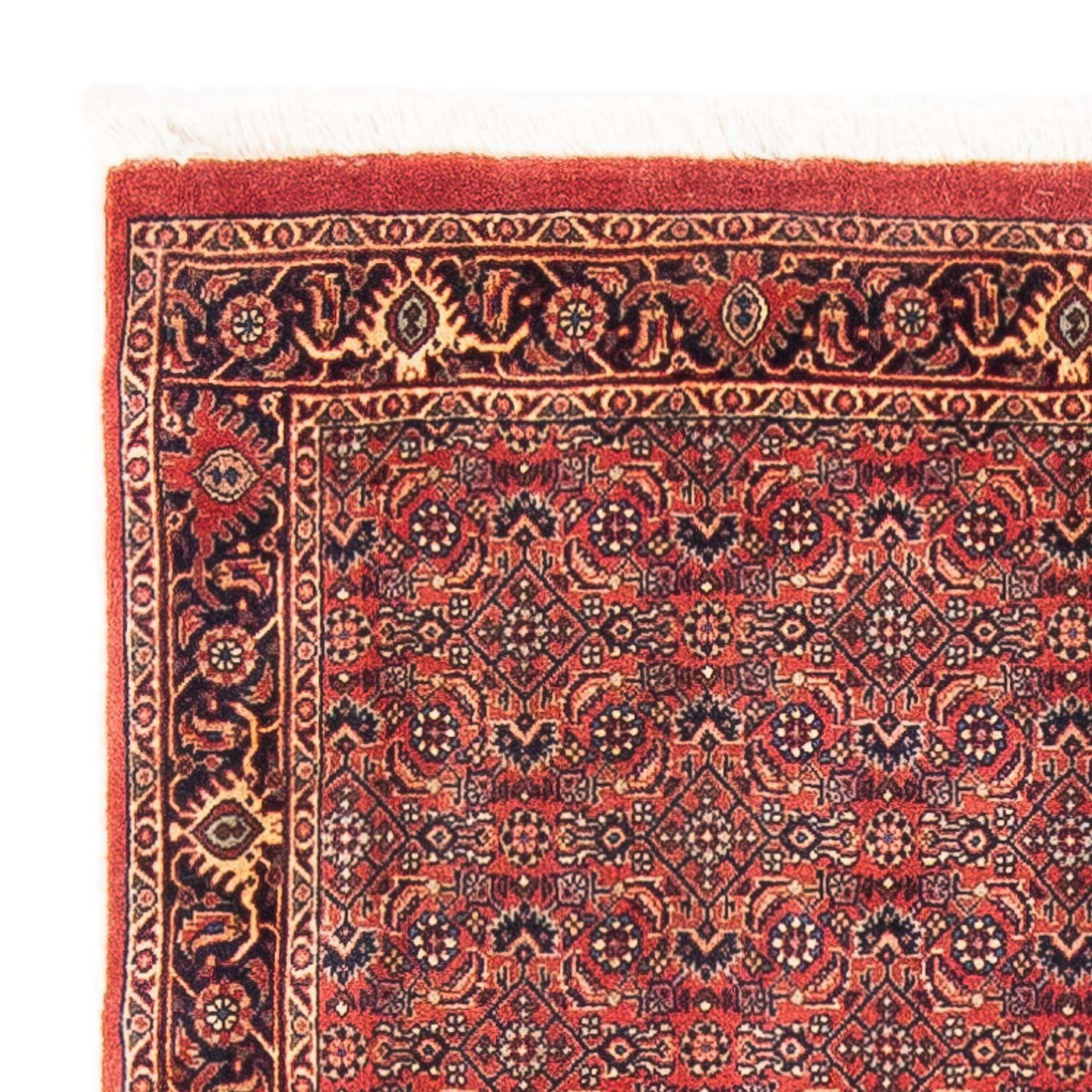 Bidjar Dywan 154x90cm - Dywan perski