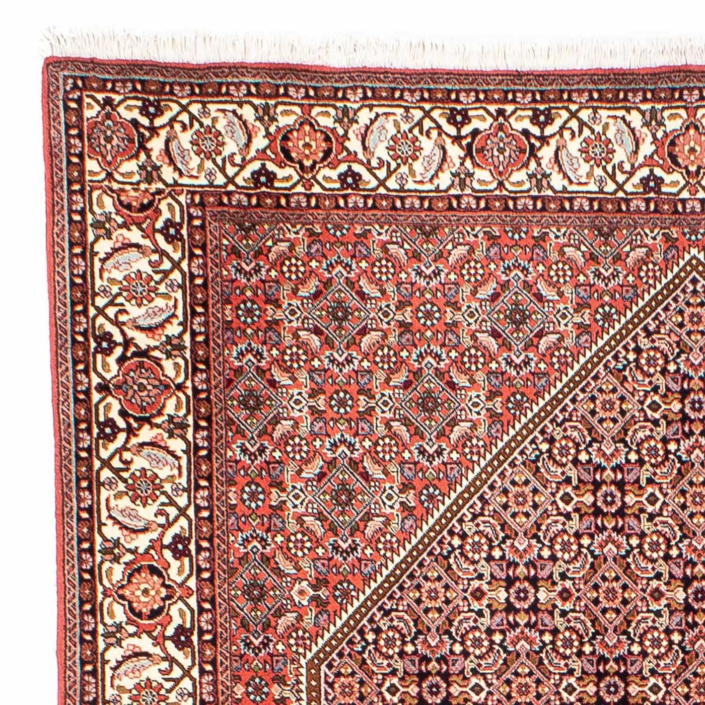 Bidjar Dywan 250x169cm - Dywan perski