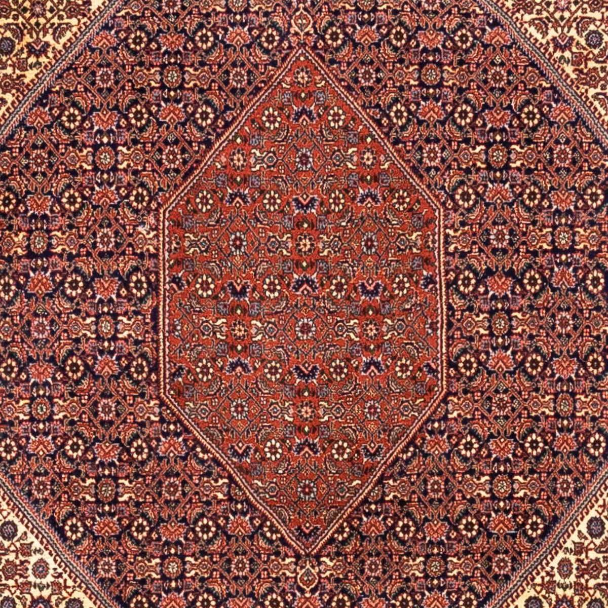 Perski dywan - Bijar - Royal - 340 x 254 cm - czerwony