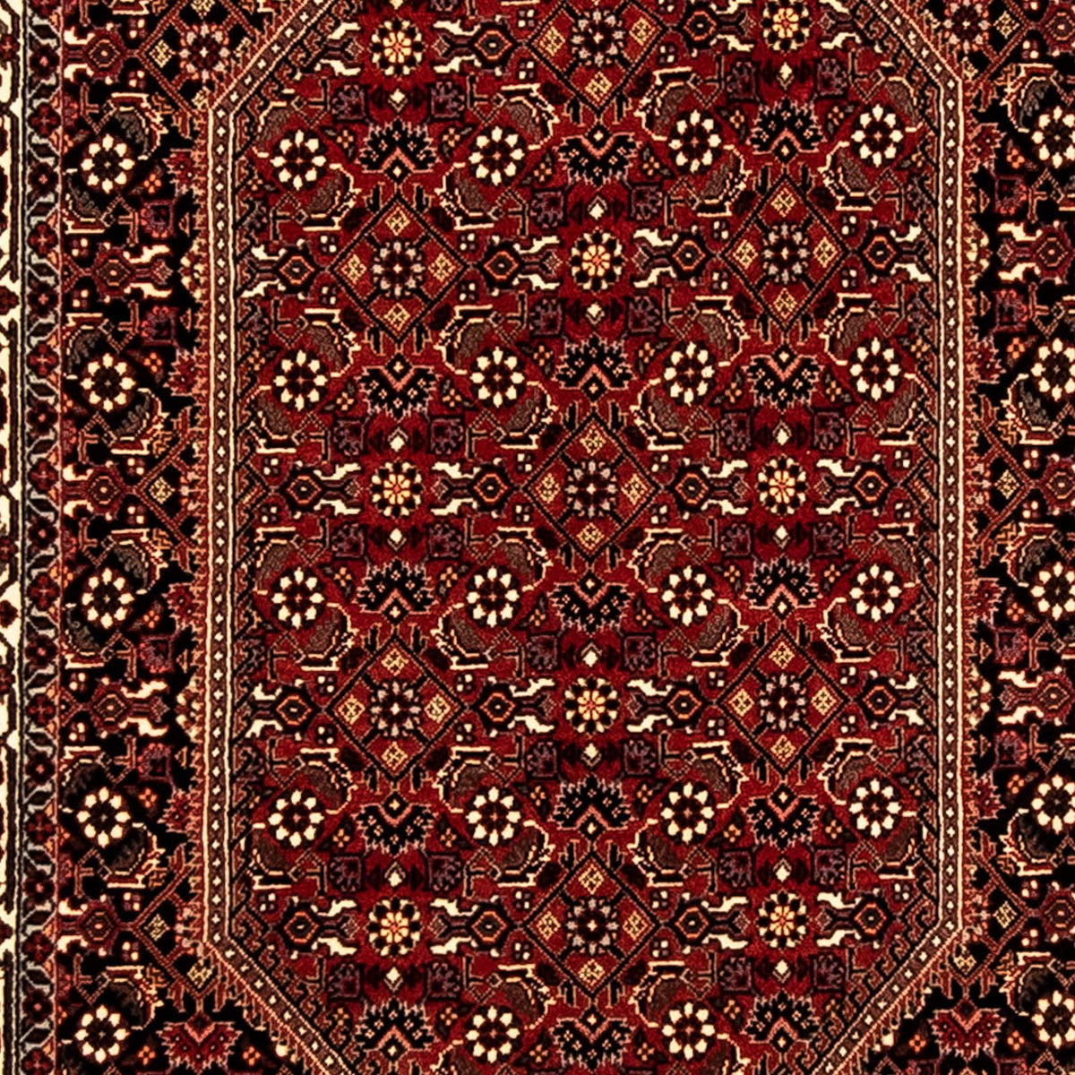 Biegacz Dywan perski - Bijar - 310 x 83 cm - wielokolorowy