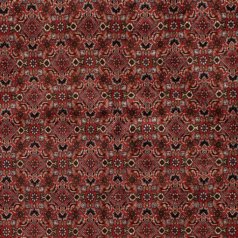 Dywan perski - Bijar - 245 x 177 cm - ciemna czerwień