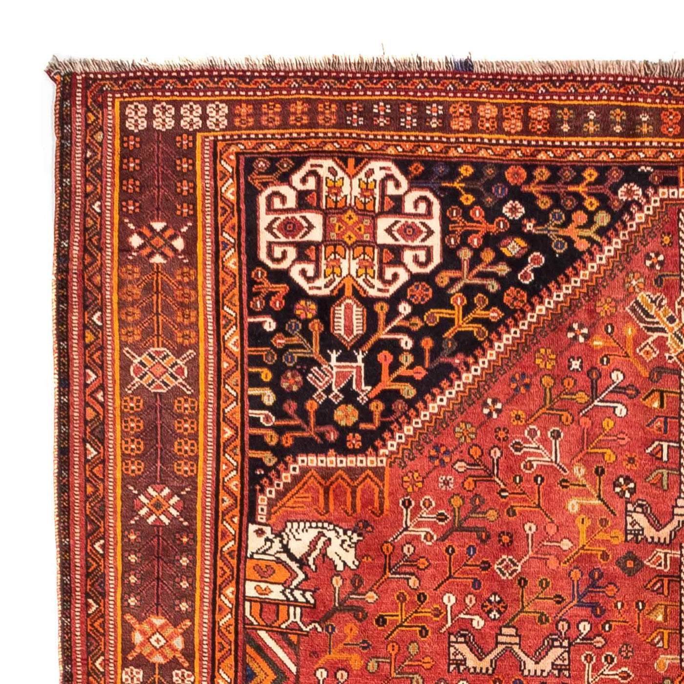 Qashqai Dywan 255x162cm - Dywan perski