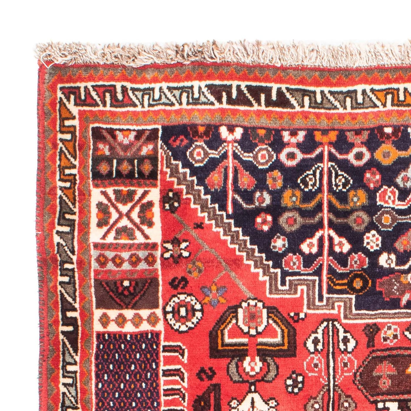 Shiraz Dywan 158x118cm - Dywan perski