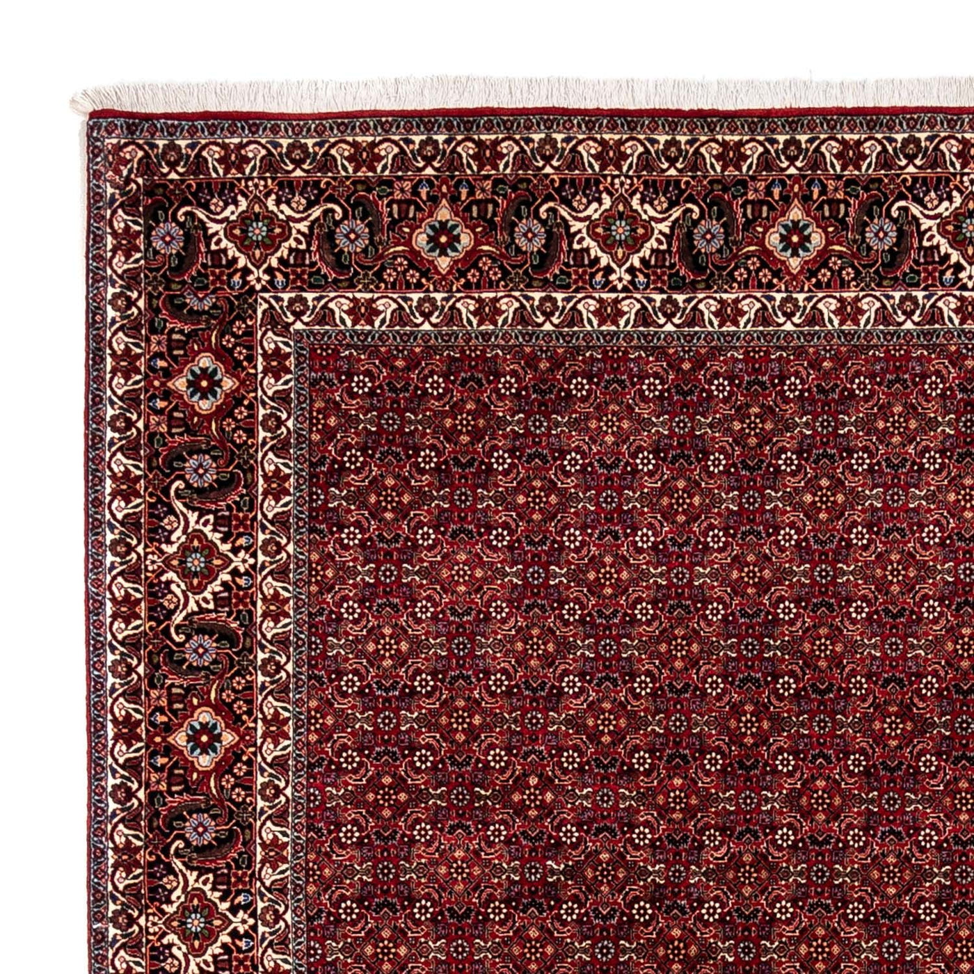 Bidjar - Zanjan Dywan 350x250cm - Dywan perski