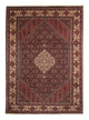 Bidjar Dywan 243x348cm - Dywan perski