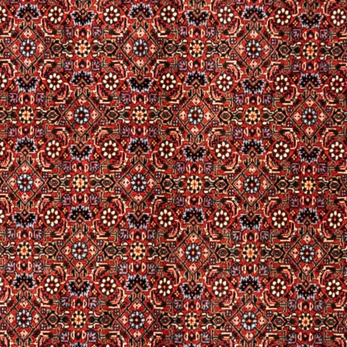 Perski dywan - Bijar - Royal - 363 x 248 cm - czerwony
