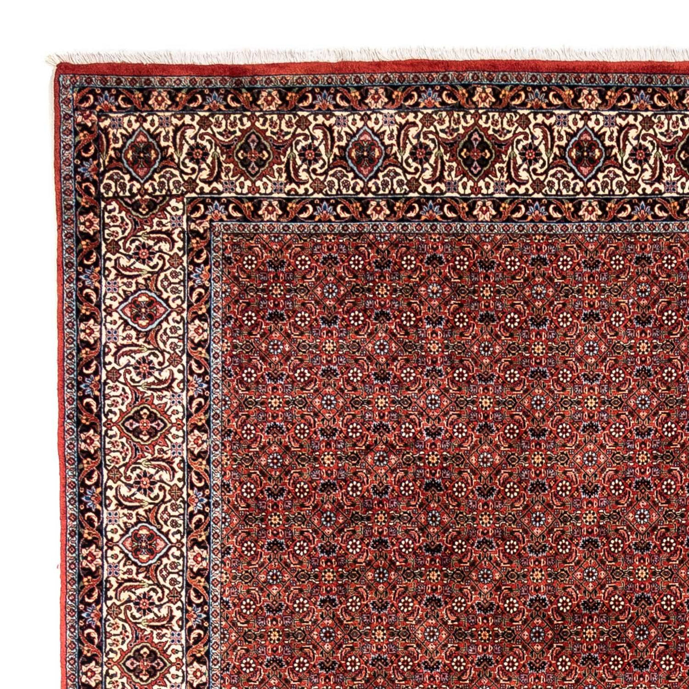 Bidjar - Takab Dywan 363x248cm - Dywan perski