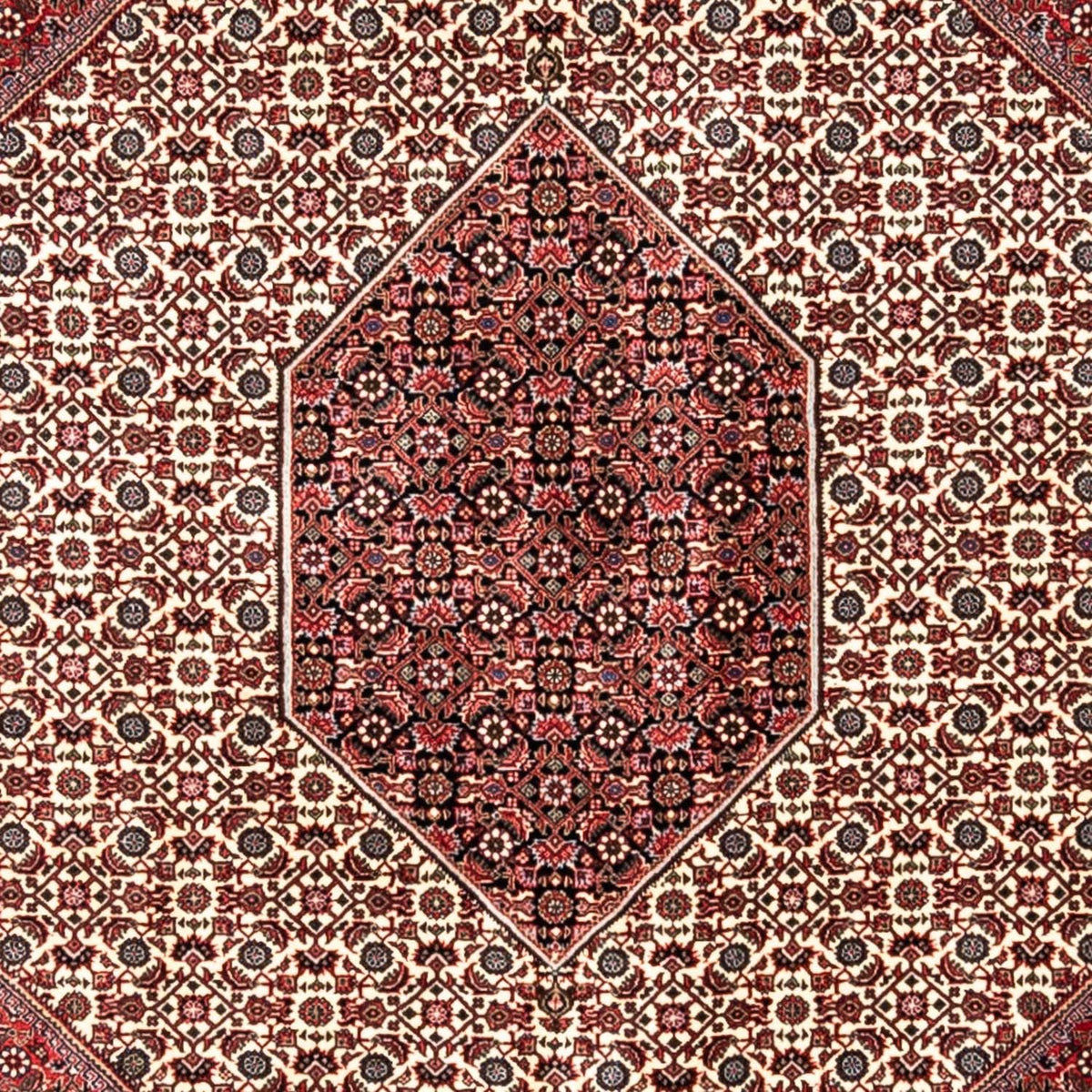 Perski dywan - Bijar - Royal - 343 x 253 cm - czerwony