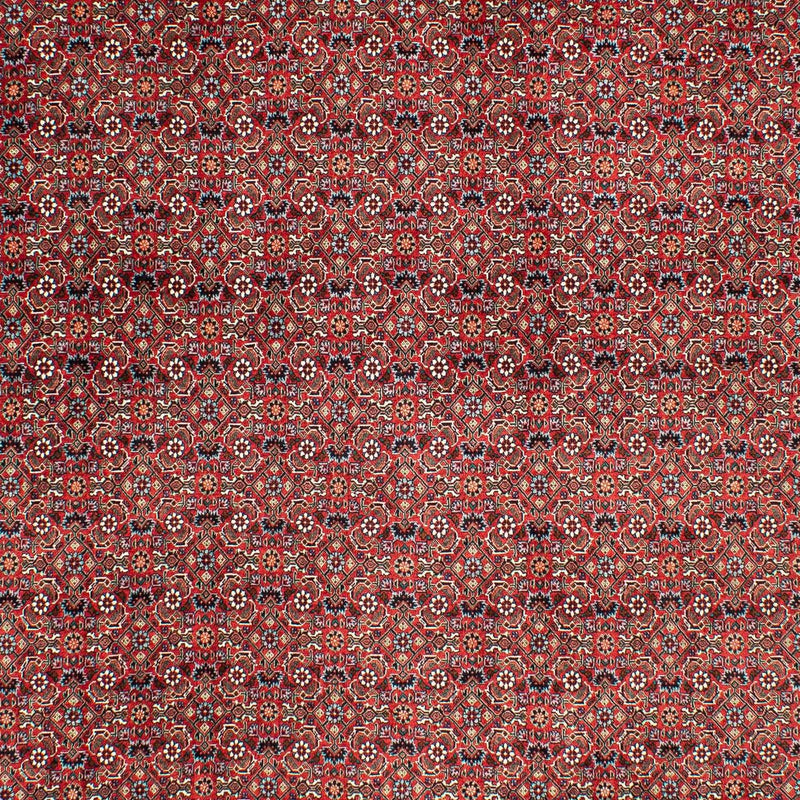 Dywan perski - Bijar - 290 x 203 cm - ciemna czerwień