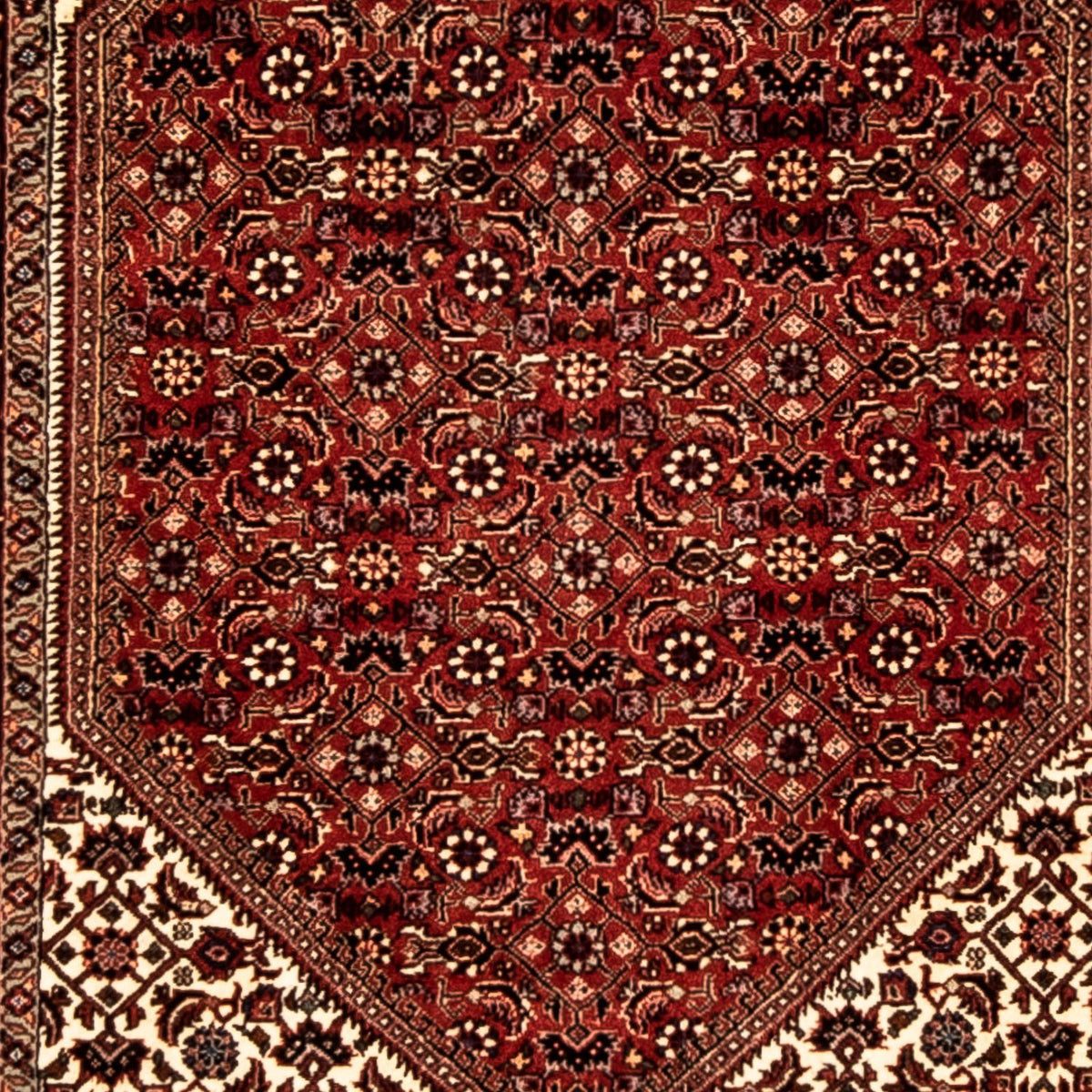 Biegacz Dywan perski - Bijar - 313 x 82 cm - wielokolorowy