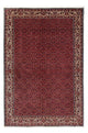 Bidjar Dywan 243x172cm - Dywan perski