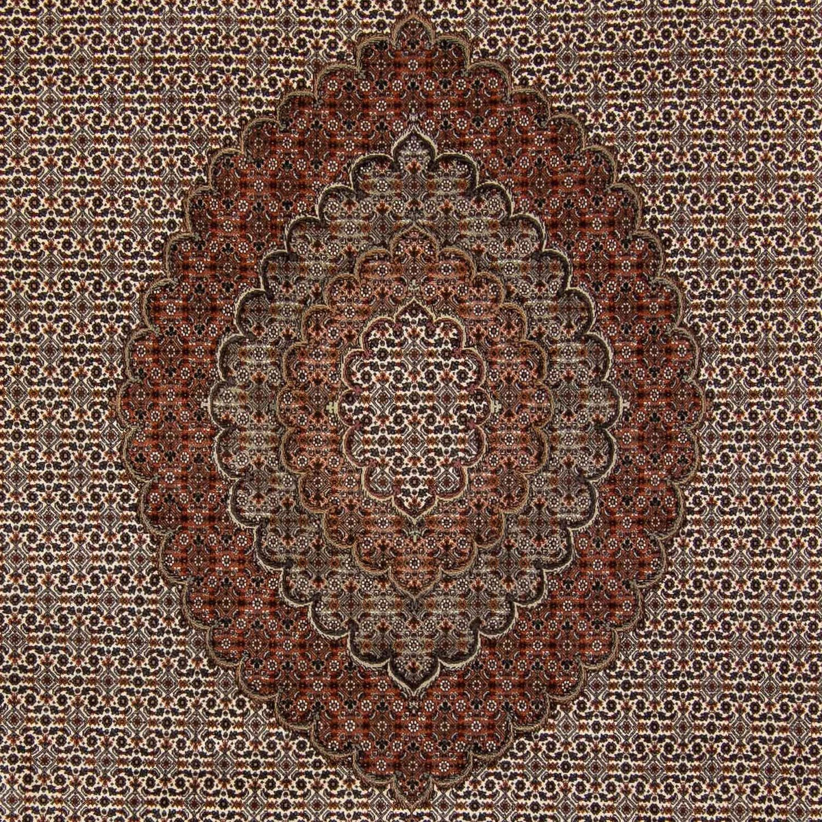 Dywan perski - Tabriz - 350 x 250 cm - ciemnobrązowy