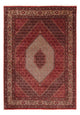 Bidjar Dywan 248x171cm - Dywan perski