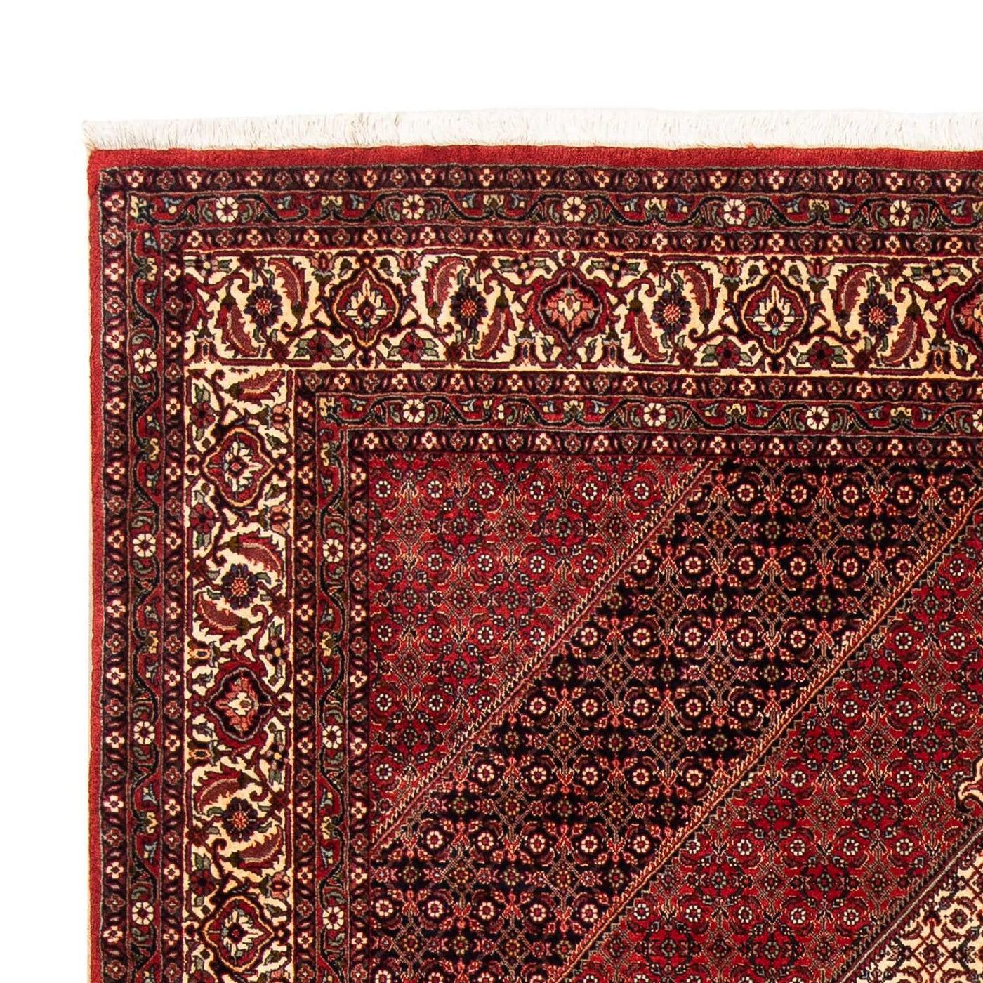 Bidjar Dywan 248x171cm - Dywan perski