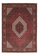 Bidjar Dywan 229x170cm - Dywan perski