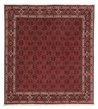 Bidjar Dywan 212x206cm - Dywan perski – product image