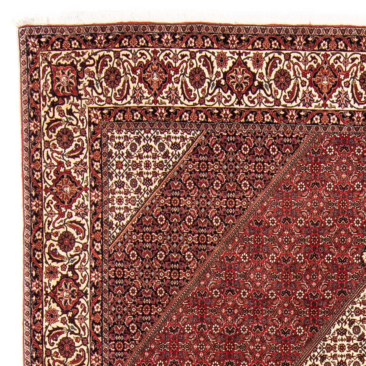 Bidjar Dywan 251x304cm - Dywan perski