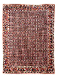 Bidjar - Takab Dywan 248x332cm - Dywan perski – product image