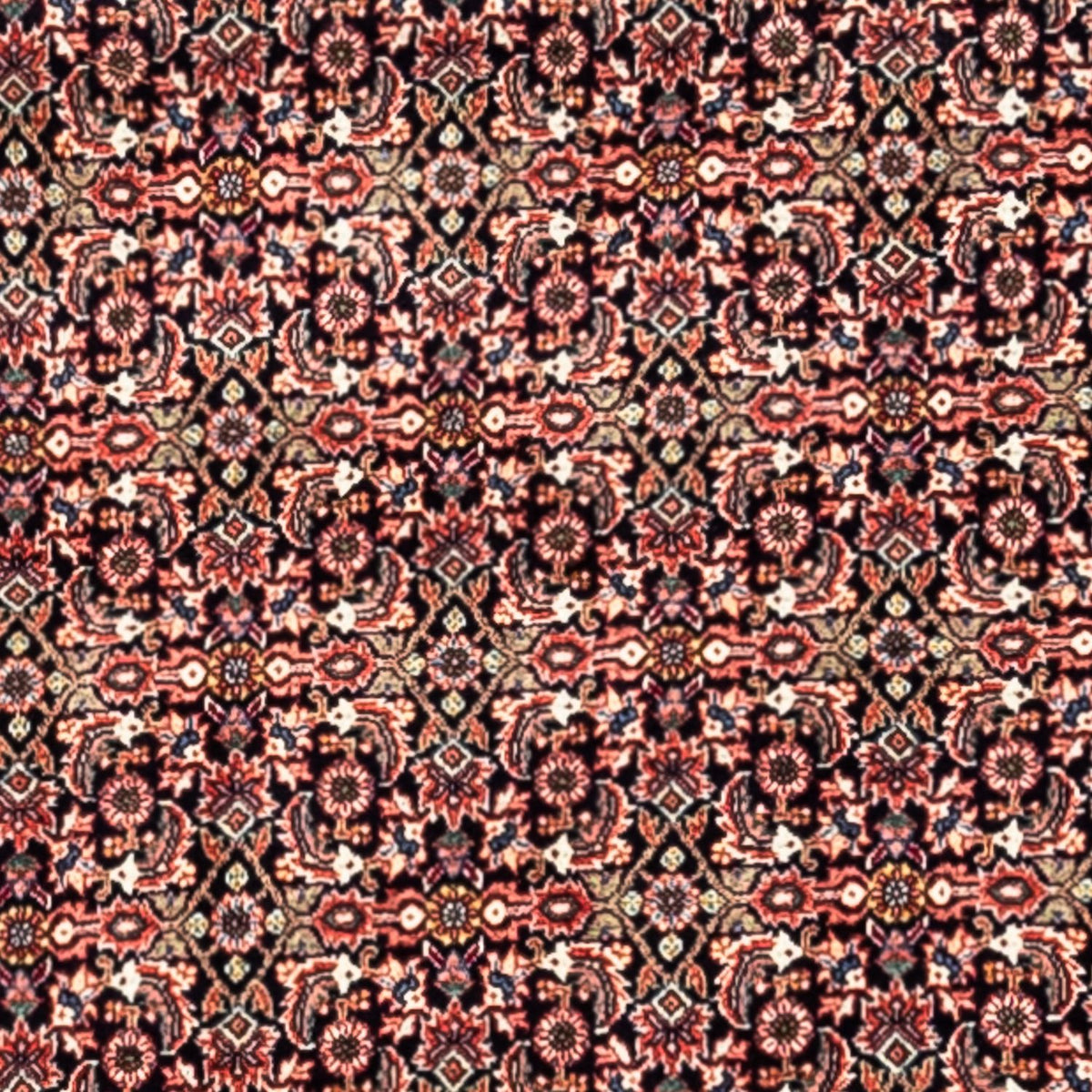 Perski dywan - Bijar - Royal - 332 x 248 cm - rdza