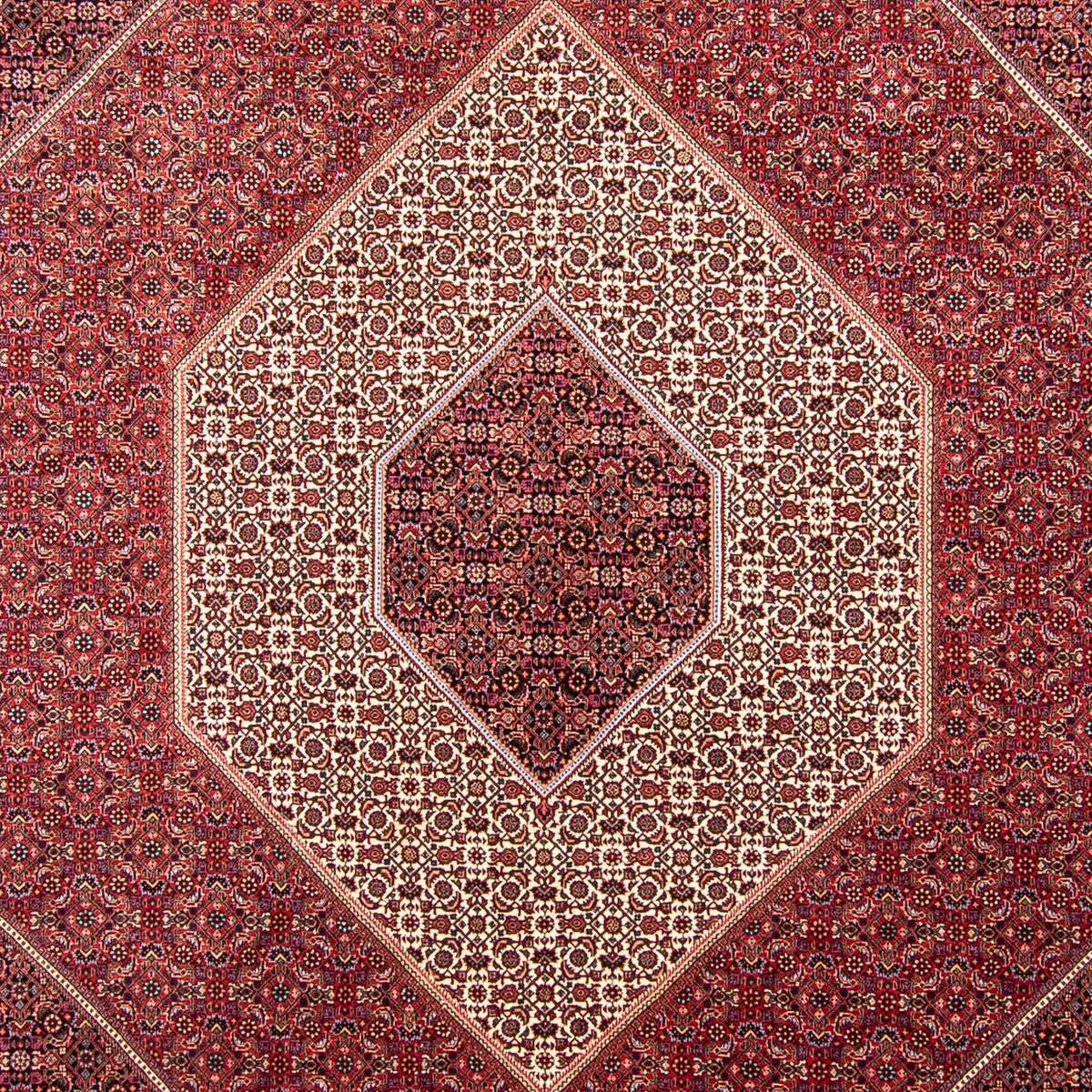 Dywan perski - Bijar - 358 x 253 cm - ciemna czerwień