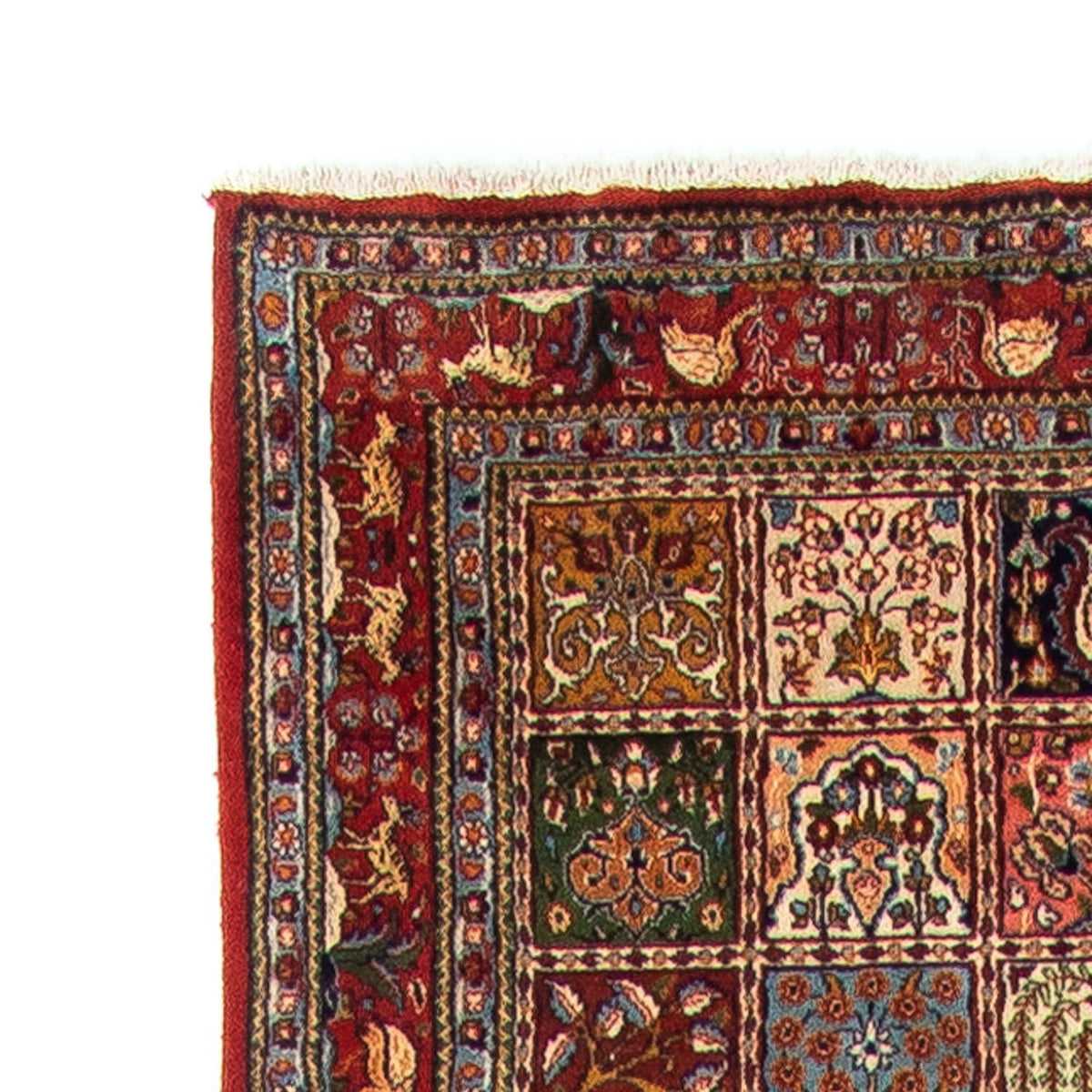 Biegacz Dywan perski - Klasyczny - 590 x 80 cm - czerwony