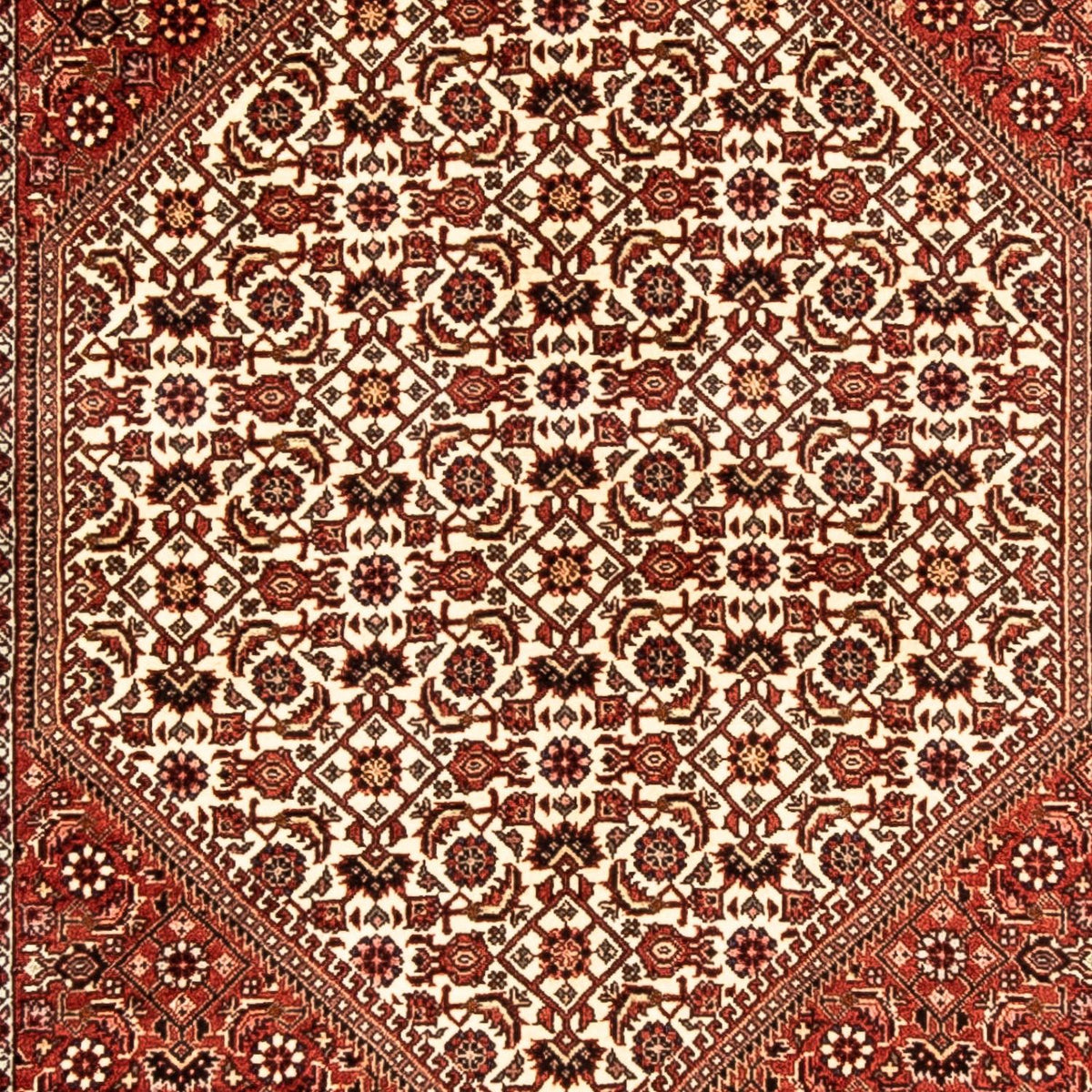 Biegacz Dywan perski - Bijar - 304 x 83 cm - wielokolorowy